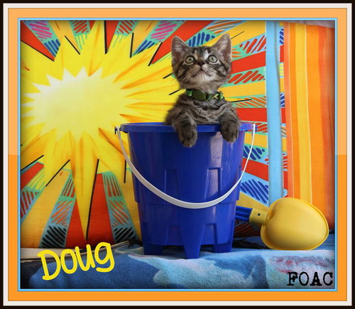 Doug-Fostered
