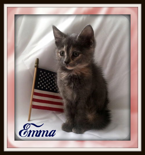Emma-Fostered