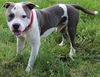 Love:URGENT! SHELTER