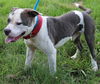 Love:URGENT! SHELTER