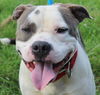 Love:URGENT! SHELTER