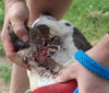 Love:URGENT! SHELTER