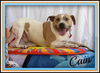 Cain aka Cane: Fostered