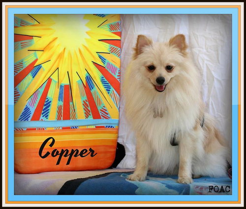 Copper-Fostered