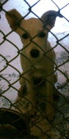 Mattie: Shelter