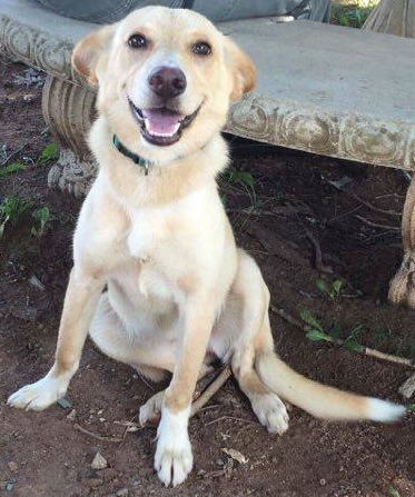 Emmy-Fostered