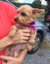 Bree-Fostered