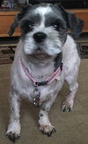 Max-Fostered