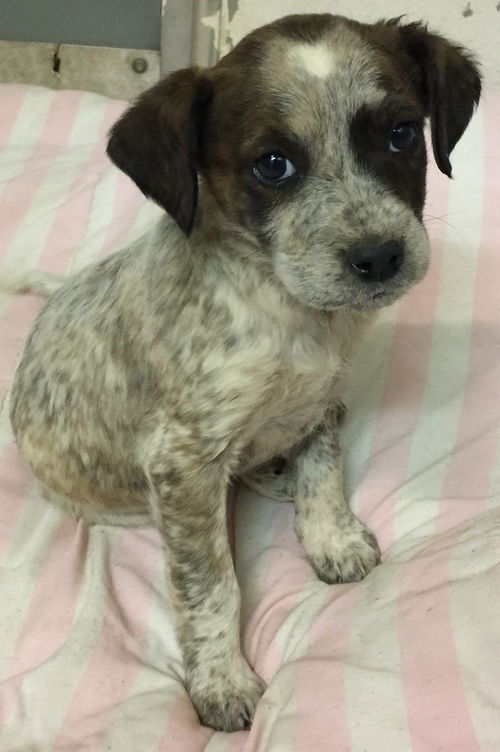 Louise: Fostered