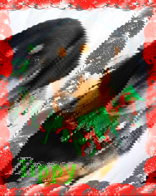 Tippy-Shelter