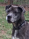 Coop-Fostered