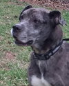 Coop-Fostered