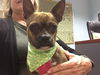 Lucy (Fostered)