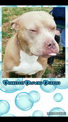 Hennessy-Fostered
