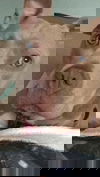 Hennessy-Fostered