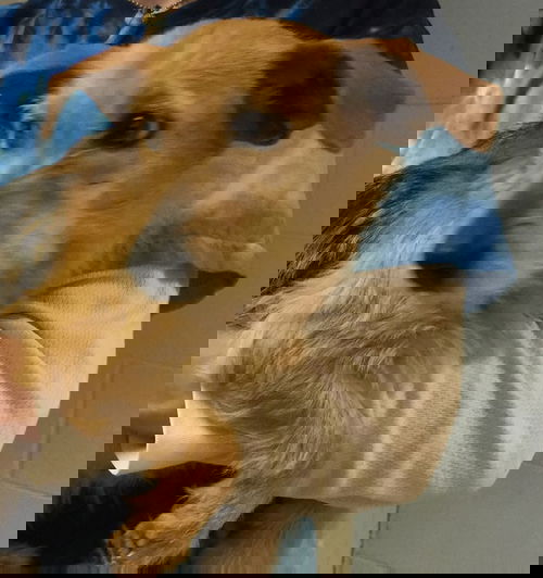 Hayden-Shelter