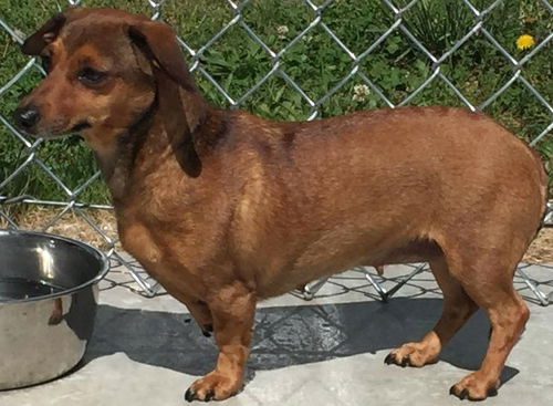 Estelle-Fostered