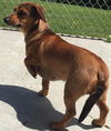 Estelle-Fostered