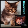 Denisovich-Fostered