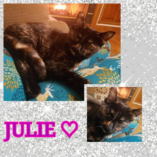 Julie-Fostered