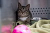 Maria-at Petsmart