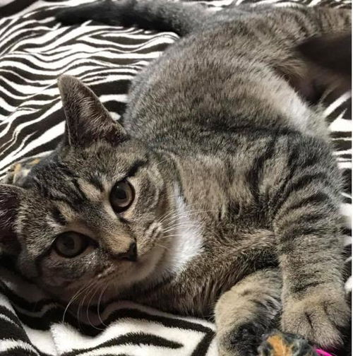 Maria-at Petsmart