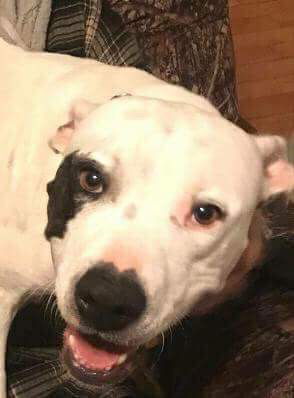 Mamacita-Fostered