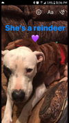 Mamacita-Fostered