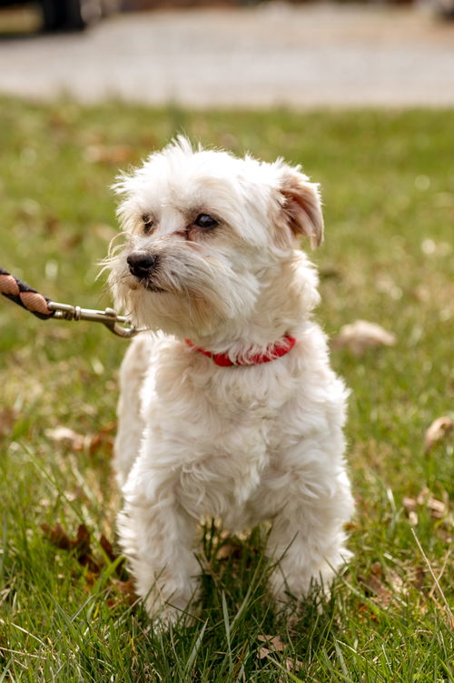 Noah-Not at the Shelter