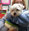 Alcott-Not at the Shelter