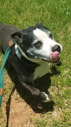 Judd - Not at the Shelter
