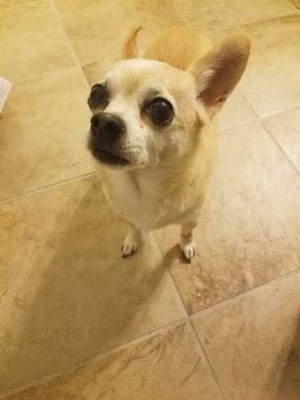 Logan: not at the shelter