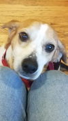 Irma - Not at the Shelter