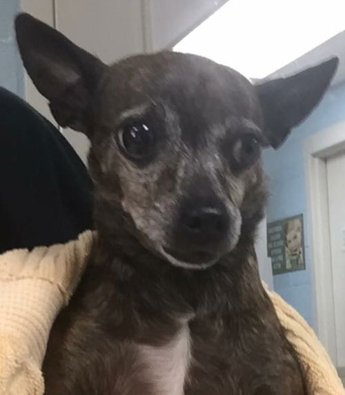 Tina Marie-Not at the Shelter