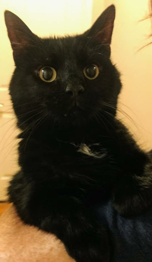Ducky-Visit him at Petsmart