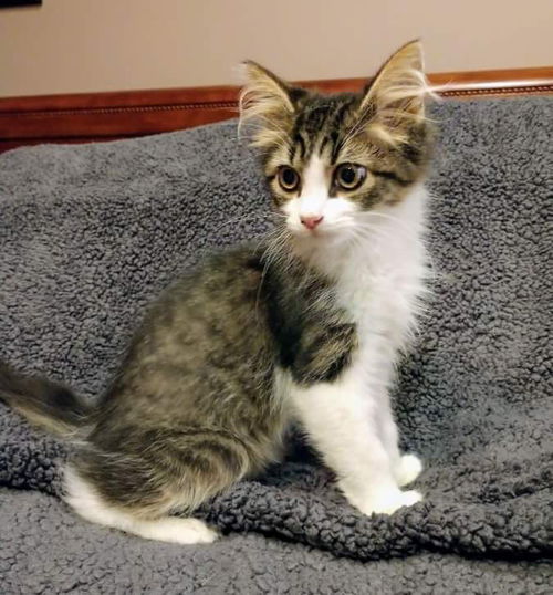 Marlin-Not at the Shelter