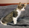 Marlin-Not at the Shelter