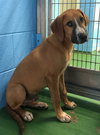 Max-Not at the Shelter