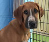 Max-Not at the Shelter