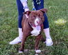 Nestle - At the Shelter