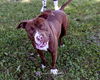 Nestle - At the Shelter