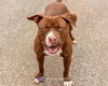 Nestle - At the Shelter