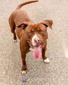 Nestle - At the Shelter