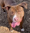 Nestle - At the Shelter