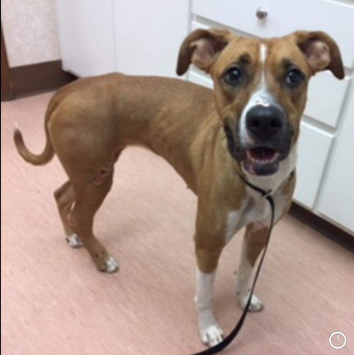 Whitney: Not at the shelter