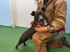 William-At the Shelter