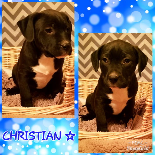Nelson - CHRISTIAN