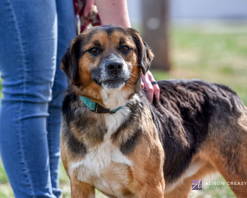 Morty - Not at the Shelter