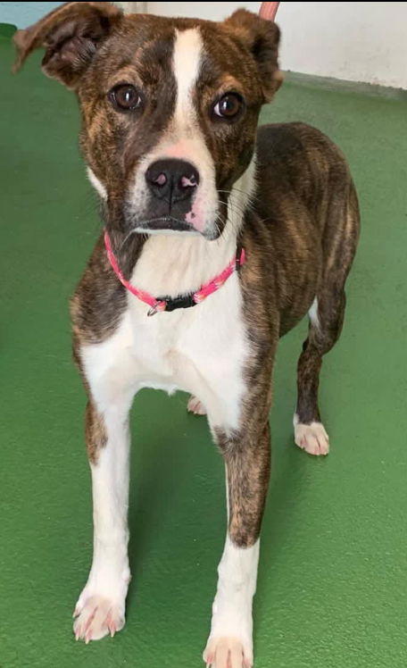 Hope- At at the Shelter