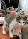 Bridger-At the Shelter